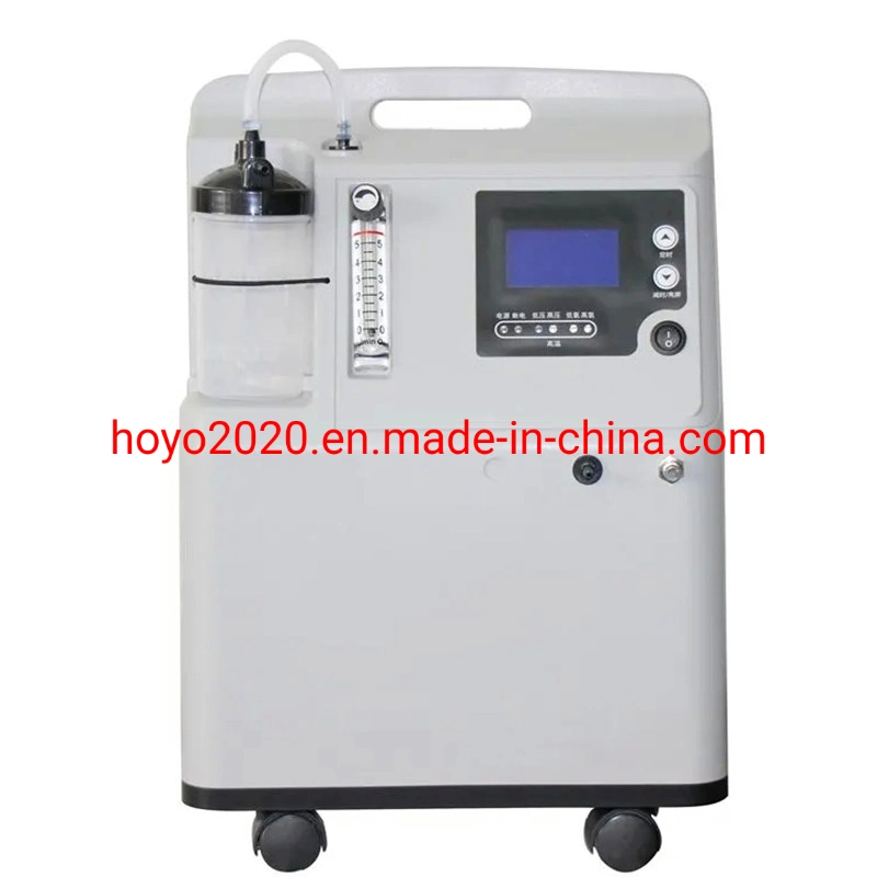 Home Use Oxygen Concentrator Income Oxygen Concentrator